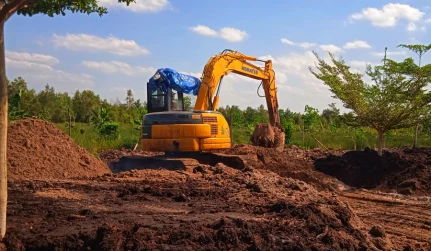 land clearing and vegetation management cherryville nc